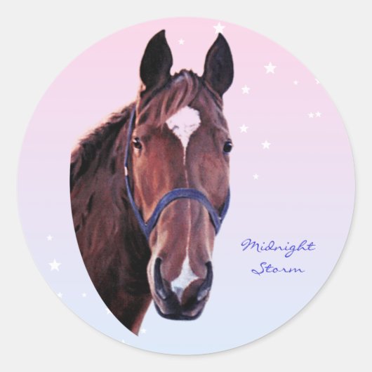 Chestnut paard met witte ster ronde sticker (Voorkant)