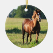 Chestnut Paardenpaling Keramisch Ornament (Voorkant)