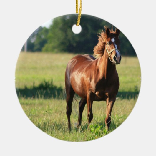 Chestnut Paardenpaling Keramisch Ornament (Voorkant)