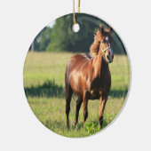 Chestnut Paardenpaling Keramisch Ornament (Links)