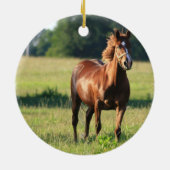 Chestnut Paardenpaling Keramisch Ornament (Achterkant)