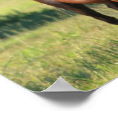 Chestnut paardje — Permanente doek Poster (Hoek)