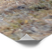 Chestnut Paarten die een heuvelfoto draaien Poster (Hoek)