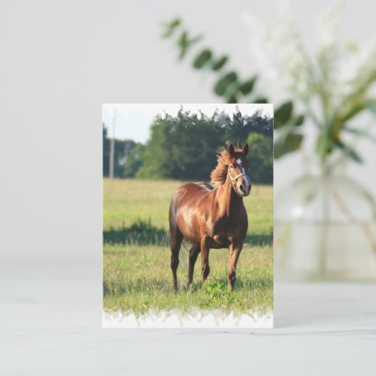 Chestnut Paarten, permanent Briefkaart (Staand voorkant)