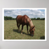 Chestnut Pasture Grazing Poster (Voorkant)