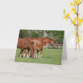 Chestnut Quarter Horse Mares and Foals Kaart (Gele Bloem)