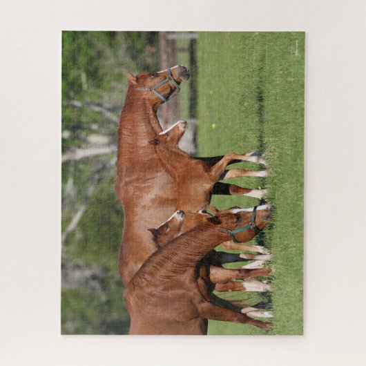 Chestnut Quarter Horse Mares and Foals Legpuzzel (Verticaal)