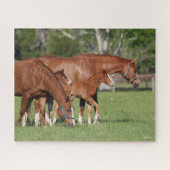 Chestnut Quarter Horse Mares and Foals Legpuzzel (Horizontaal)