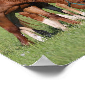 Chestnut Quarter Horse Mares and Foals Poster (Hoek)
