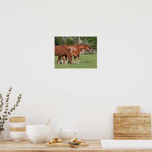 Chestnut Quarter Horse Mares and Foals Poster (Keuken)