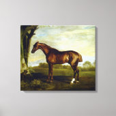 Chestnut Racehorse in a Landscape (George Stubbs) Canvas Afdruk (Voorkant)