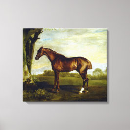 Chestnut Racehorse in a Landscape (George Stubbs) Canvas Afdruk