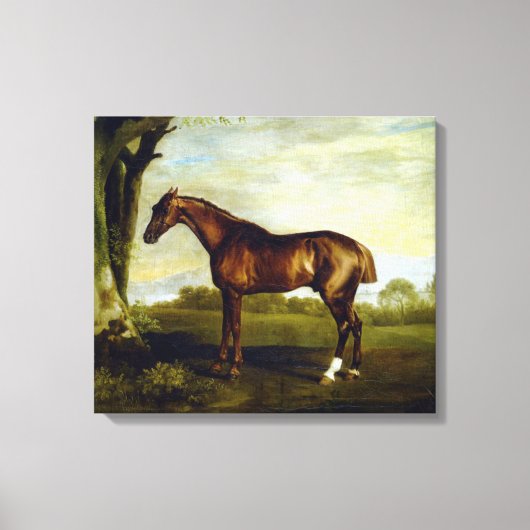 Chestnut Racehorse in a Landscape (George Stubbs) Canvas Afdruk (Voorkant)
