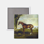 Chestnut Racehorse in a Landscape (George Stubbs) Magneet (Voorkant / Achterkant)