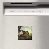 Chestnut Racehorse in a Landscape (George Stubbs) Magneet (Insitu (Vaatwasser))