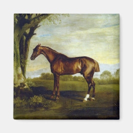 Chestnut Racehorse in a Landscape (George Stubbs) Magneet