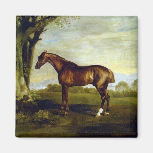 Chestnut Racehorse in a Landscape (George Stubbs) Magneet (Voorkant)
