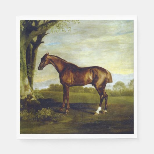 Chestnut Racehorse in a Landscape (George Stubbs) Servet (Voorkant)