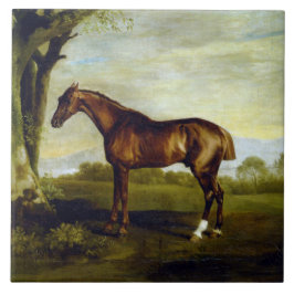 Chestnut Racehorse in a Landscape (George Stubbs) Tegeltje