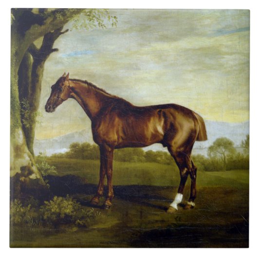 Chestnut Racehorse in a Landscape (George Stubbs) Tegeltje (Voorkant)