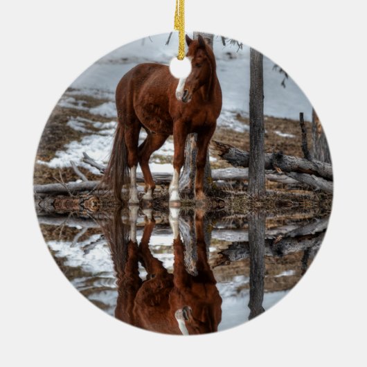 Chestnut Ranch Horse and Pond Reflection Keramisch Ornament (Achterkant)