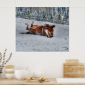 Chestnut Rolling op wintersneeuw Foto Poster (Keuken)