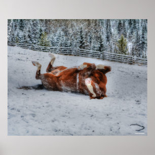 Chestnut Rolling op wintersneeuw Foto Poster