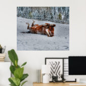 Chestnut Rolling op wintersneeuw Foto Poster (Thuiskantoor)