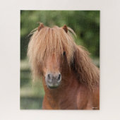 Chestnut Shetland Pony Stallion headshot Legpuzzel (Verticaal)