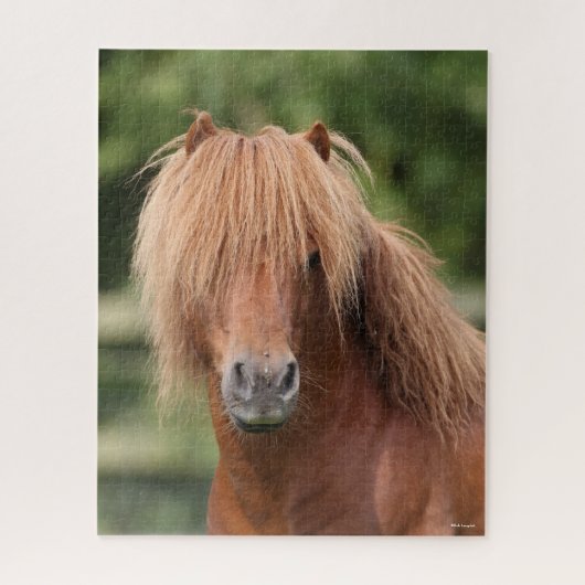 Chestnut Shetland Pony Stallion headshot Legpuzzel (Verticaal)