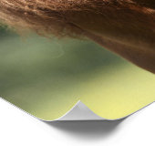 Chestnut Shetland Pony Stallion Headshot Poster (Hoek)