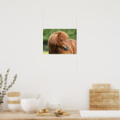 Chestnut Shetland Pony Stallion Headshot Poster (Keuken)