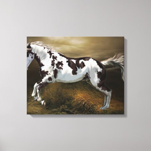 Chestnut Splash Lijst Tovero Paint Horse Canvas Afdruk (Voorkant)