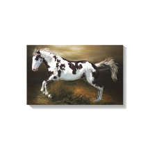 Chestnut Splash Lijst Tovero Paint Horse