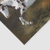 Chestnut Splash Lijst Tovero Paint Horse Tissuepapier (Detail)