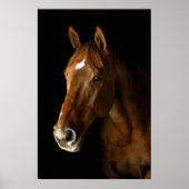 Chestnut Thoroughbred Poster (Voorkant)