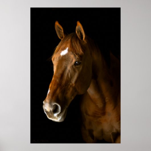 Chestnut Thoroughbred Poster (Voorkant)