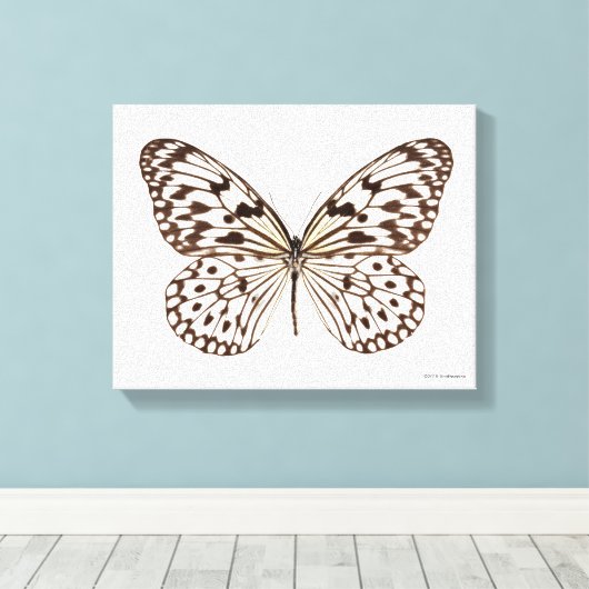 Chestnut Tiger Butterfly Canvas Afdruk (Insitu (Houten vloer))