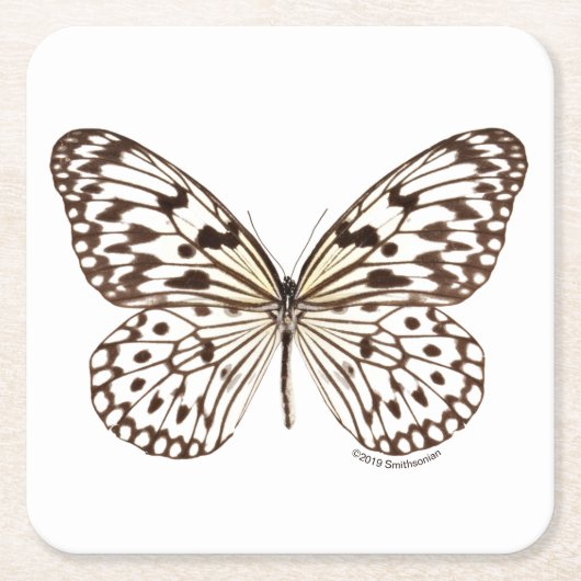 Chestnut Tiger Butterfly Kartonnen Onderzetters (Voorkant)