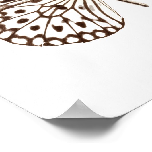 Chestnut Tiger Butterfly Poster (Hoek)