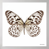 Chestnut Tiger Butterfly Poster (Voorkant)