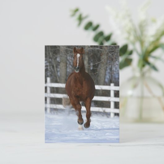Chestnut Trakehner Stallion in de sneeuw Briefkaart (Staand voorkant)