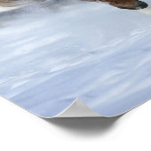 Chestnut Trakehner Stallion in de sneeuw Poster (Hoek)