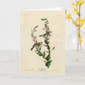 Chestnut Warbler, Amerikaanse vogels Kaart (Gele Bloem)