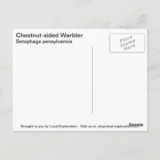 Chestnut Warbler Briefkaart (Achterkant)