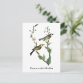 Chestnut Warbler, John Audubon Briefkaart (Staand voorkant)