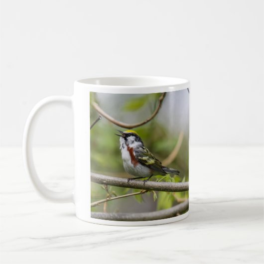 Chestnut Warbler Koffiemok (Links)