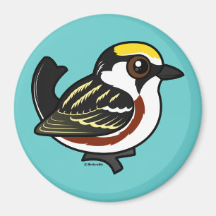 Chestnut Warbler Magneet