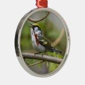 Chestnut Warbler Metalen Ornament (Rechts)