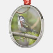 Chestnut Warbler Metalen Ornament (Links)
